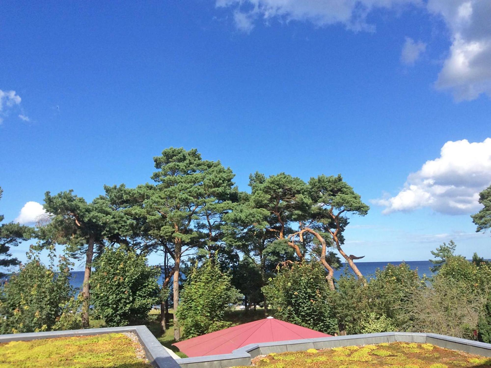 Villa Freia In Binz - Wg 11 Mit Meerblick Und Balkon Eksteriør billede